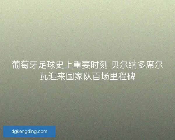 葡萄牙足球史上重要时刻 贝尔纳多席尔瓦迎来国家队百场里程碑